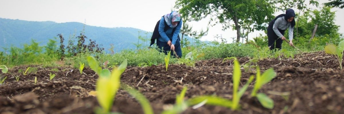 Kırsalda Kadın Girişimciler Engeller ve Başarılar